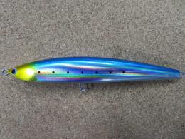 fish trippers village<br />Tanguera 210<br />ゴールドヘッドイワシ